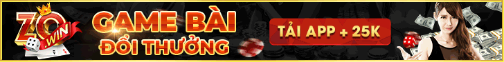 banner zowin
