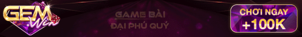 banner gemwin